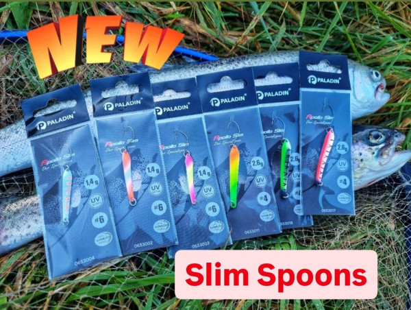 SCHLANKE FÄNGER: 6 Apollo Slim Spoons im Vorteils-Set
