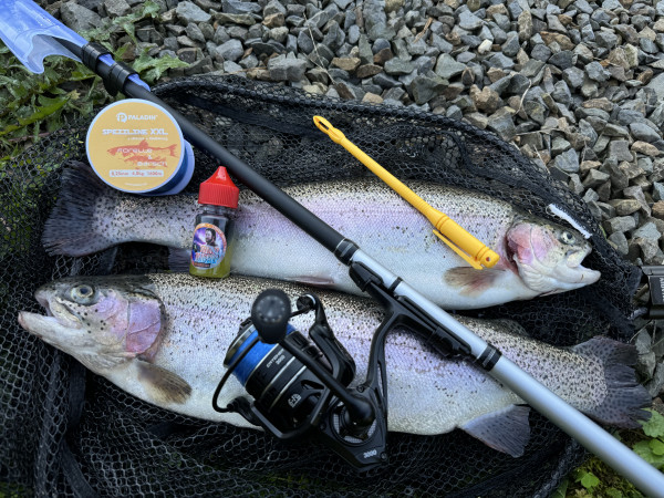 Die PERFEKTE RUTEN-KOMBO fürs Forellenangeln & Trout Turbo