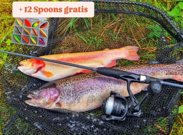 KOMBO ULTRALIGHT: STRIKE X ULTRALIGHT Rute & CATCHER X 1000 Rolle & 12 Spoons