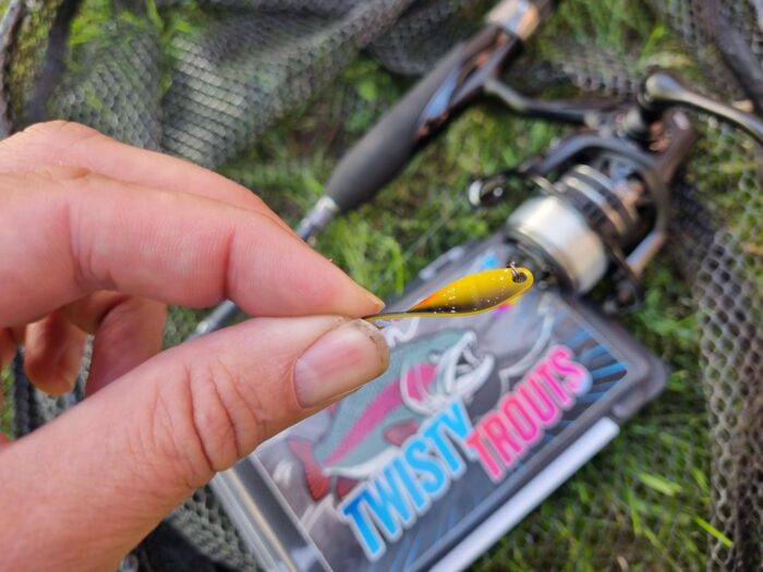 TWISTY TROUTS: Spoon & Inline-Blinker perfekt kombiniert! – Bild 5