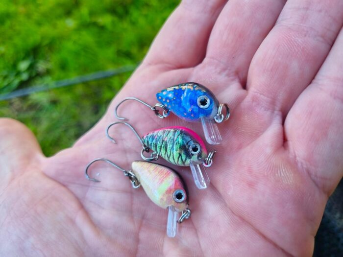 BIG BELLY TROUTS: 10 Forellen-Wobbler zum SUPER-PREIS! – Bild 2