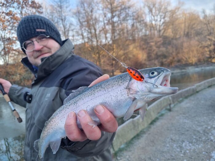 TROUT HEROES: 12 FÄNGIGE & GÜNSTIGE SPOONS & BOX fürs Forellenangeln – Bild 2