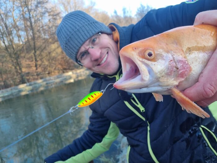 TROUT HEROES: 12 FÄNGIGE & GÜNSTIGE SPOONS & BOX fürs Forellenangeln – Bild 4