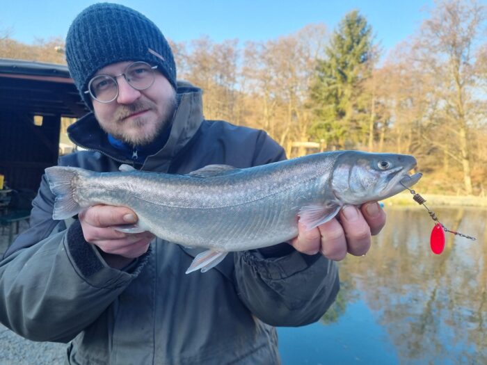 TROUT HEROES: 12 FÄNGIGE & GÜNSTIGE SPOONS & BOX fürs Forellenangeln – Bild 5