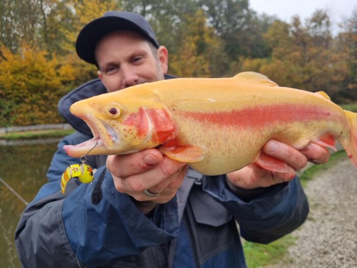 TROUT BEES: Wunder-Wobbler für den Forellensee – Bild 2