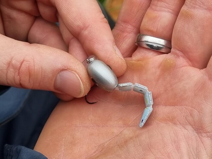 TROUT BEES: Wunder-Wobbler für den Forellensee – Bild 5