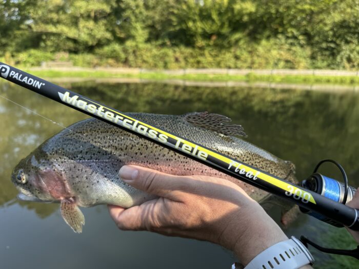 Die PERFEKTE RUTEN-KOMBO fürs Forellenangeln & Trout Turbo – Bild 7
