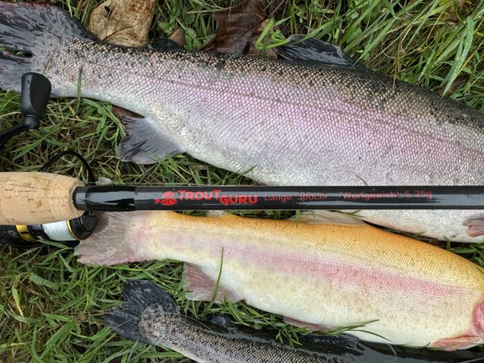 ALLESKÖNNER-KOMBO fürs Forellenangeln: Trout Guru-Rute mit passender Rolle – Bild 6