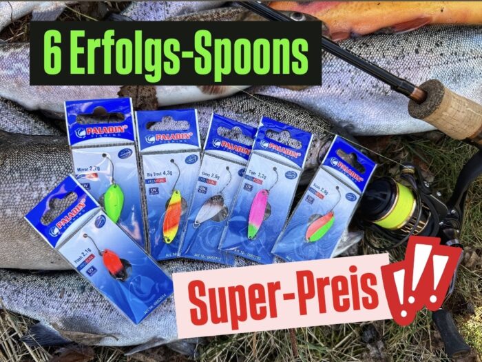 Die BESTEN SPOONS zum KLEINEN PREIS: 6 Erfolgs-Köder im Set