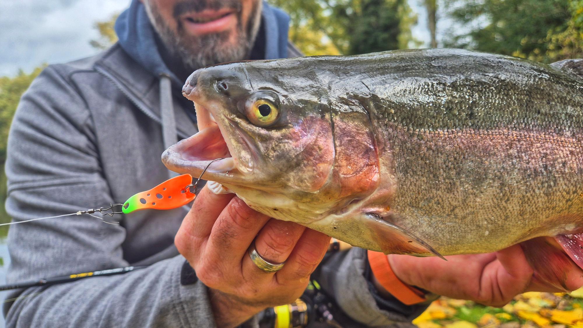AFD-Spoons: 5 AchtungFetteDrills-Köder fürs Forellenangeln zum Special-Preis – Bild 4