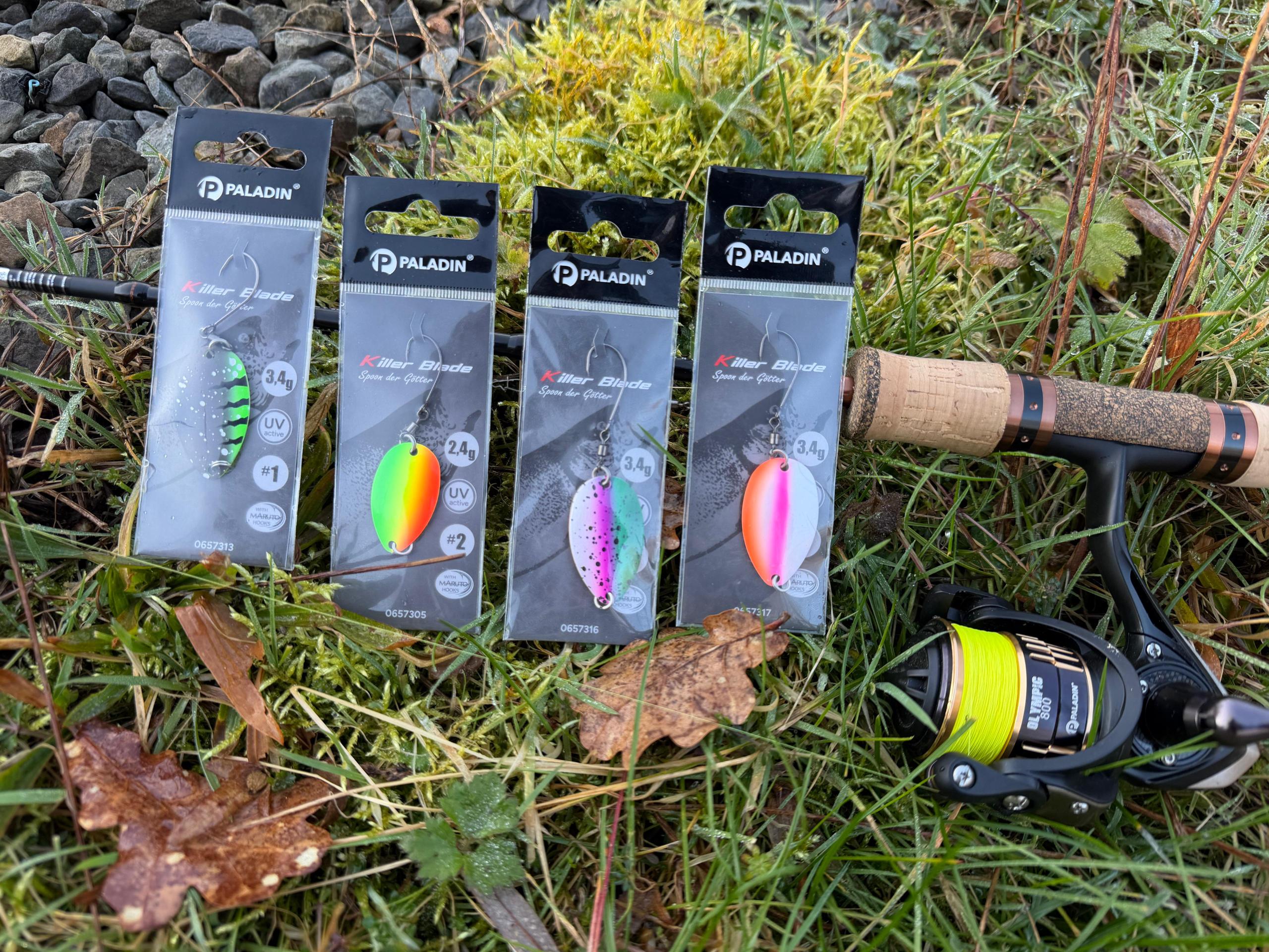 Paladin KILLER BLADE: NEUE SPOON-DIMENSION - die 4 besten Farben – Bild 4