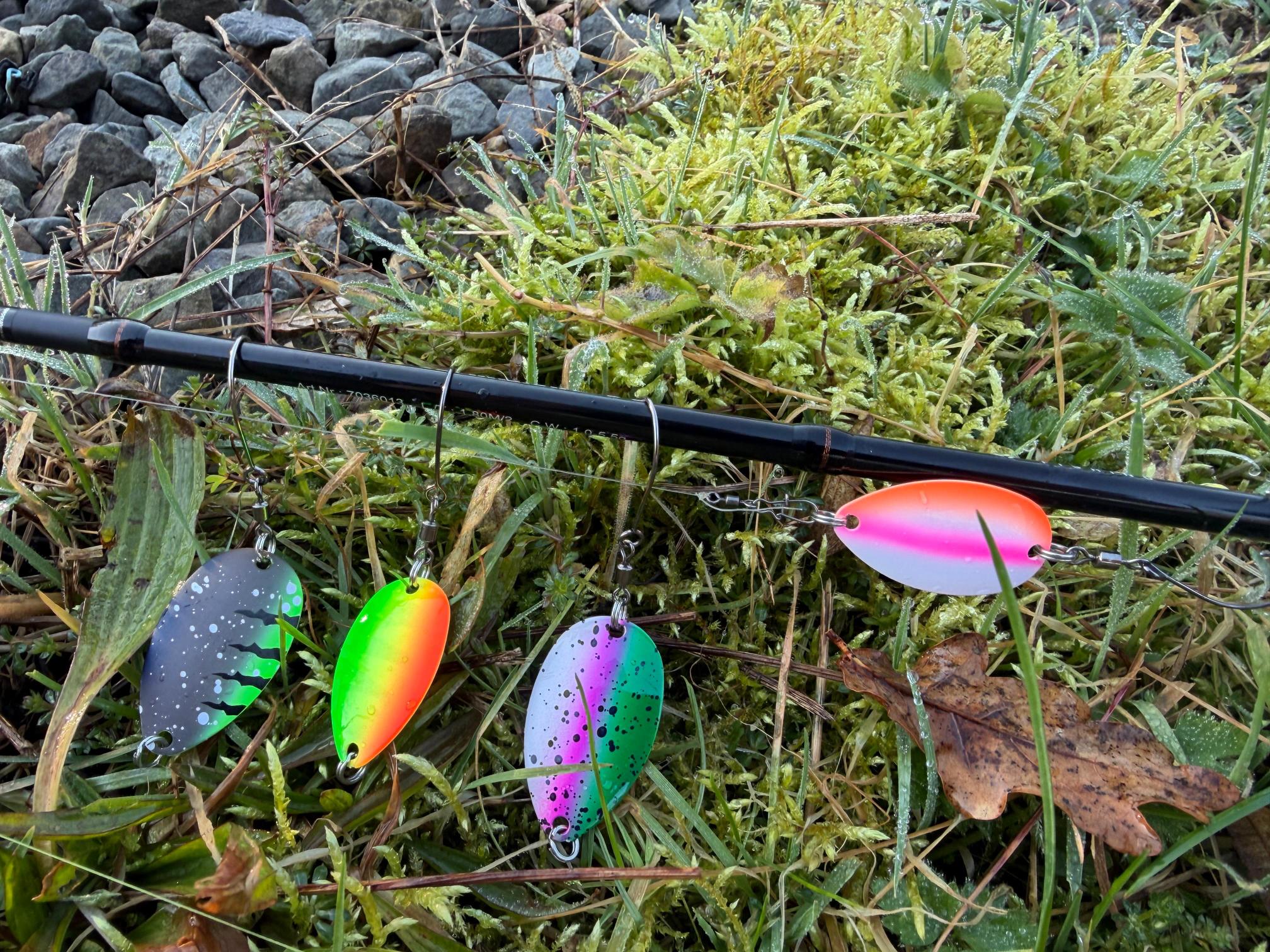 Paladin KILLER BLADE: NEUE SPOON-DIMENSION - die 4 besten Farben – Bild 2